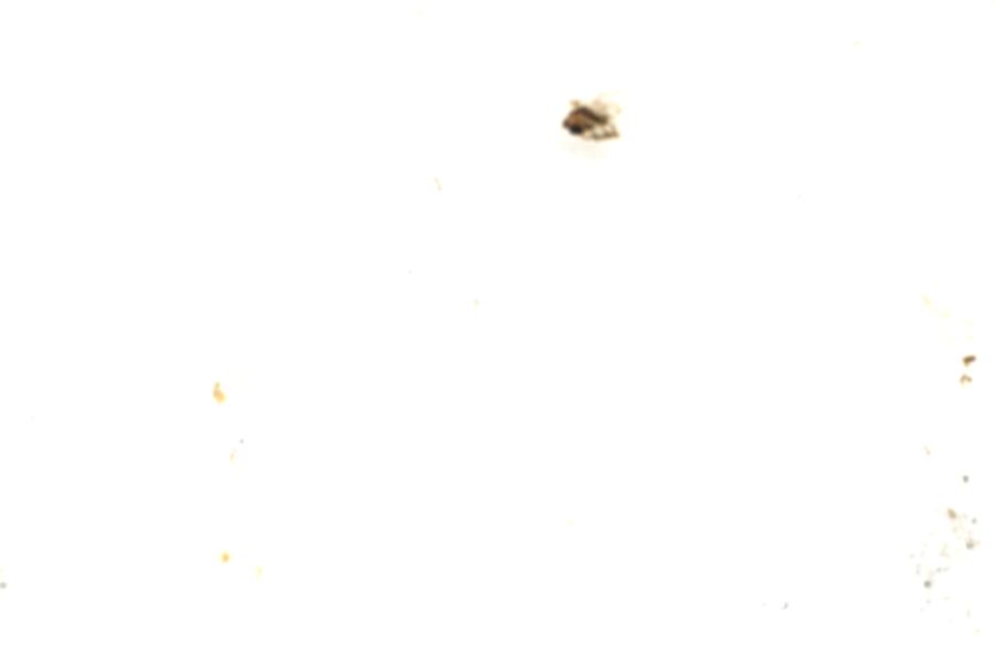 Image 104